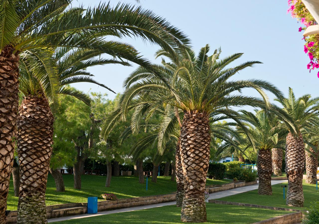 Corvino Resort Monopoli Εξωτερικό φωτογραφία